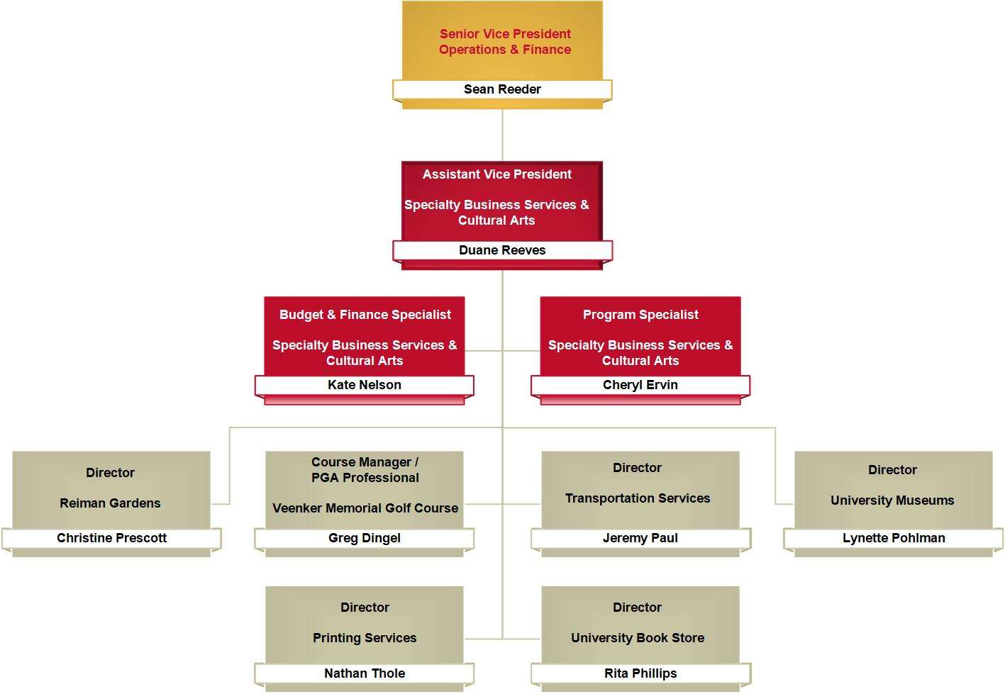 Image depicting organizational chart. Sean Reeder, senior vice president for operations and finance; Duane Reeves, assistant vice president for Specialty Business Services and Cultural Arts. Duane's direct reports include Kate Nelson, budget and finance specialist; Cheryl Ervin, program specialist; and the directors of Printing Services, Reiman Gardens, Transportation Services, University Book Store, University Museums, and Veenker Memorial Golf Course.
